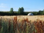 In the field In the field